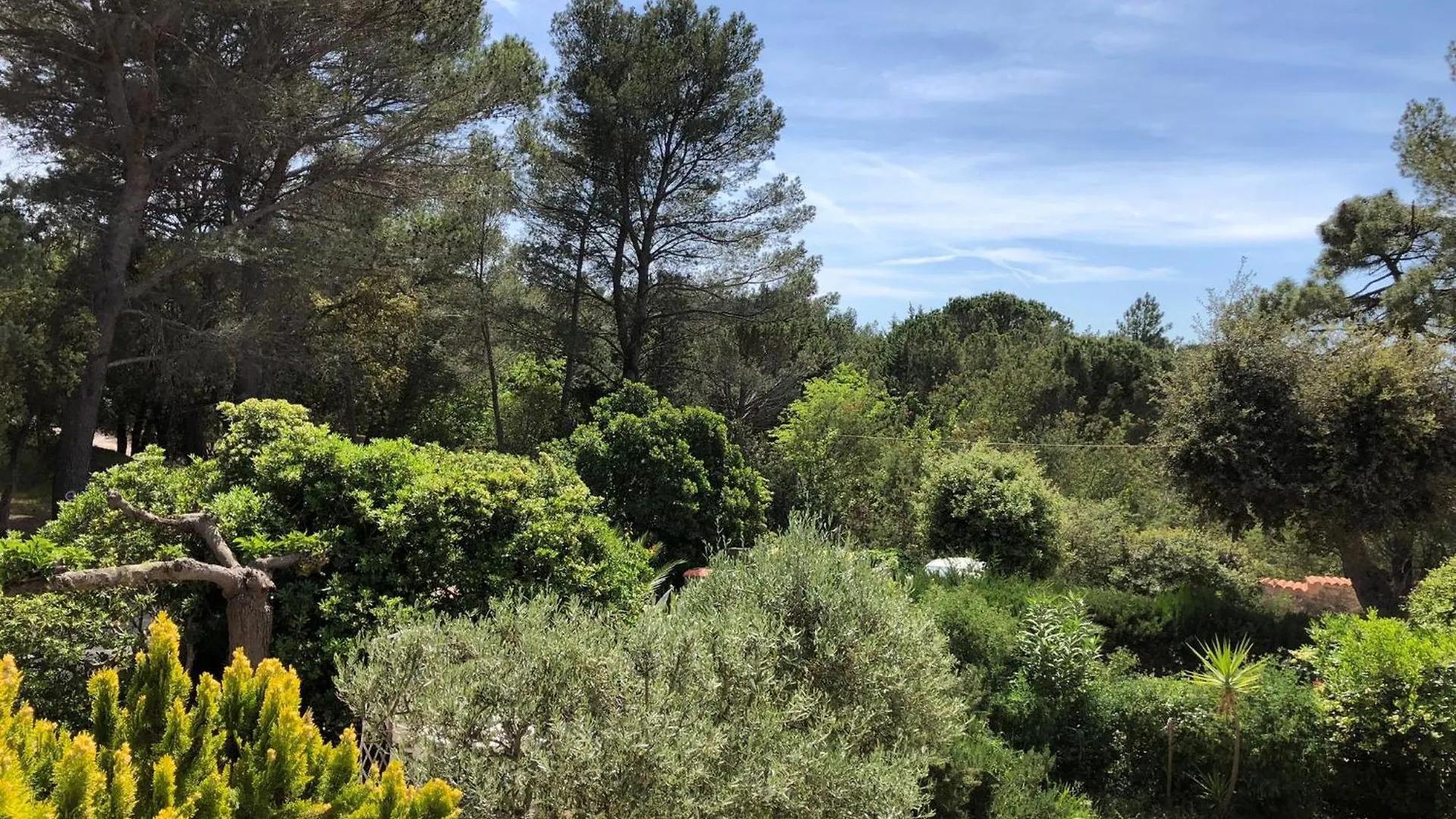 Capitou Apartment Frejus
